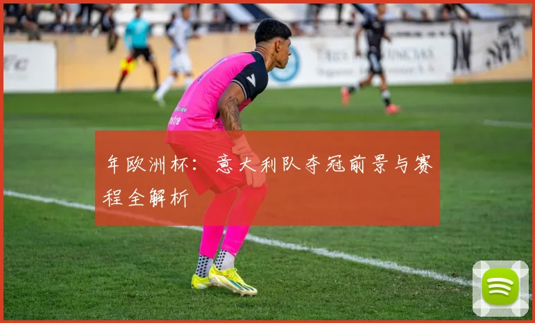 年欧洲杯：意大利队夺冠前景与赛程全解析
